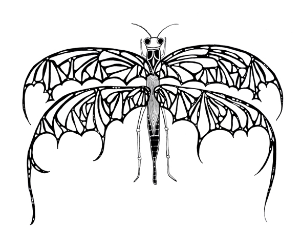Grasshopper